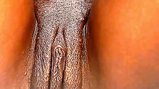 택시애널