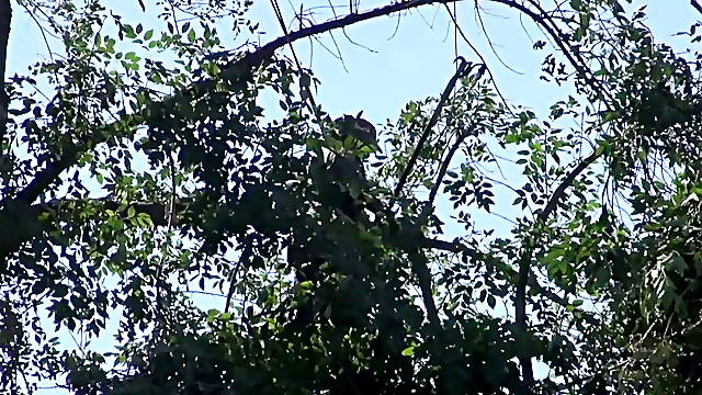 Teen Teases Neighbor By The Pool